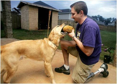Veteran Amputee with Yellow Lab