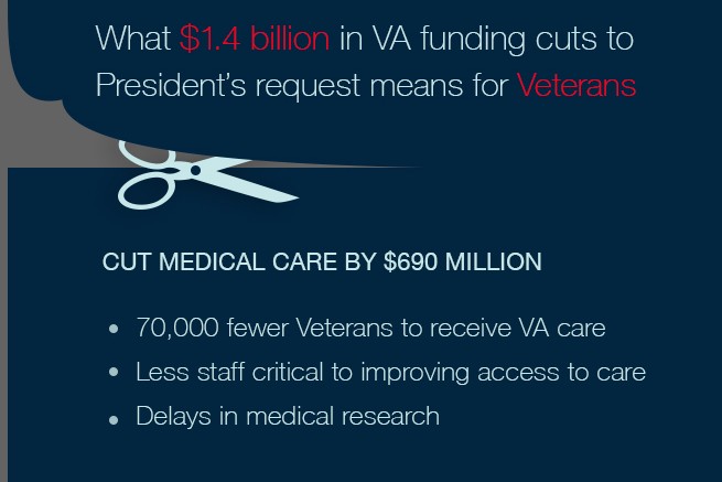graphic outlining effect of cuts on VA care