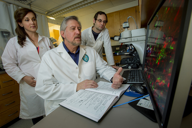 Pictured above, Dr. James Zadina’s VA-Tulane team tests a drug that may be a safer alternative to opioid painkillers. (Photo by Paula Burch-Celentano)