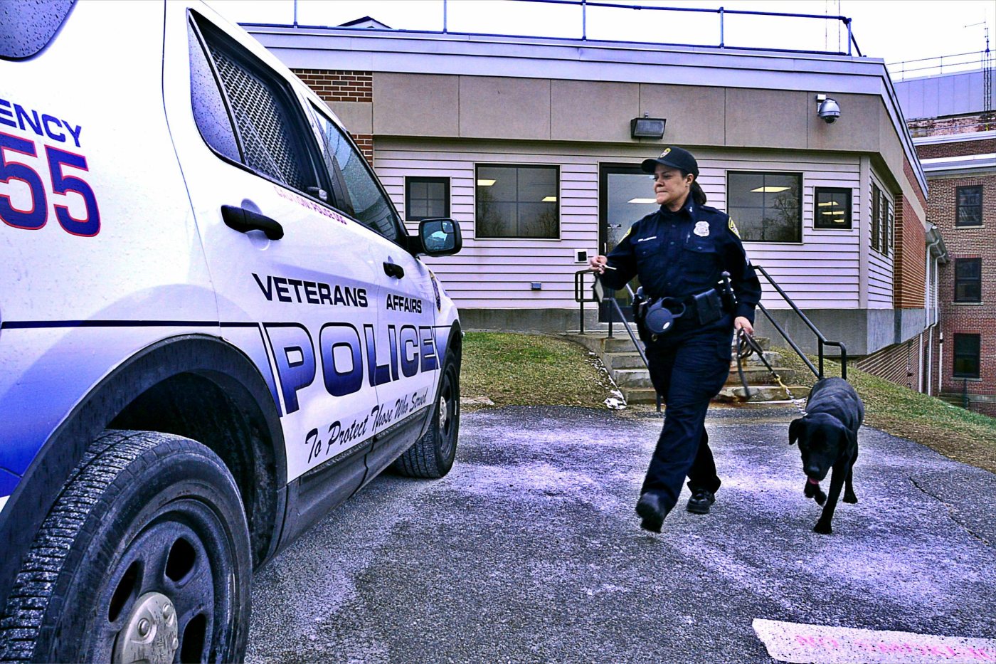 Doggone good: VA police dog, handler help ensure Veteran safety at hospitals