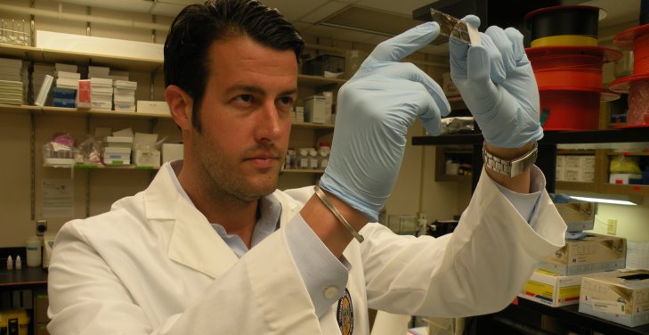 IMAGE: Dr. Gilpin in his lab conducting research