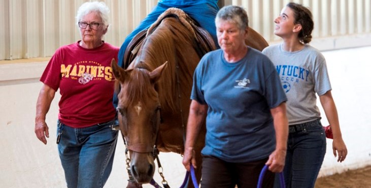 Image: Equine Therapy