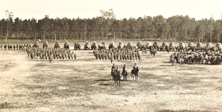 Period photograph of Auxiliary Remount Number 333