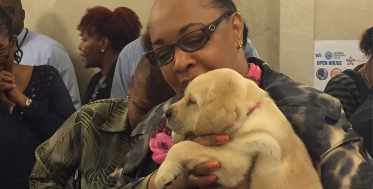 Next generation of service dogs visit VA’s central office