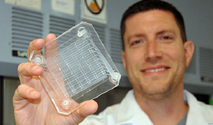 IMAGE: Biomedical engineer Dr. Joseph Potkay, with the VA Ann Arbor Health Care System, displays a 2D prototype of an artificial lung. A 3D version is in production. (Photo by Brian Hayes)