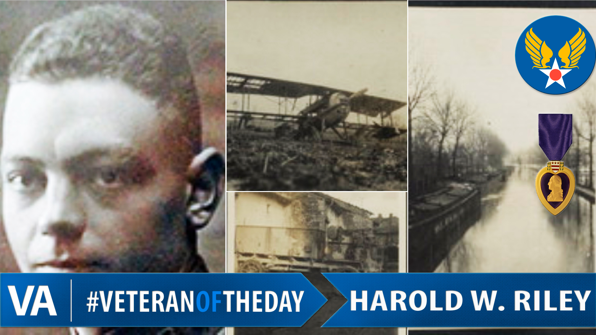 Harold Riley - Veteran of the Day