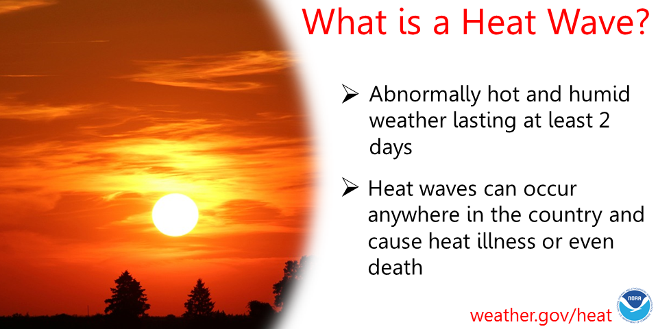 How to stay safe in a heat wave