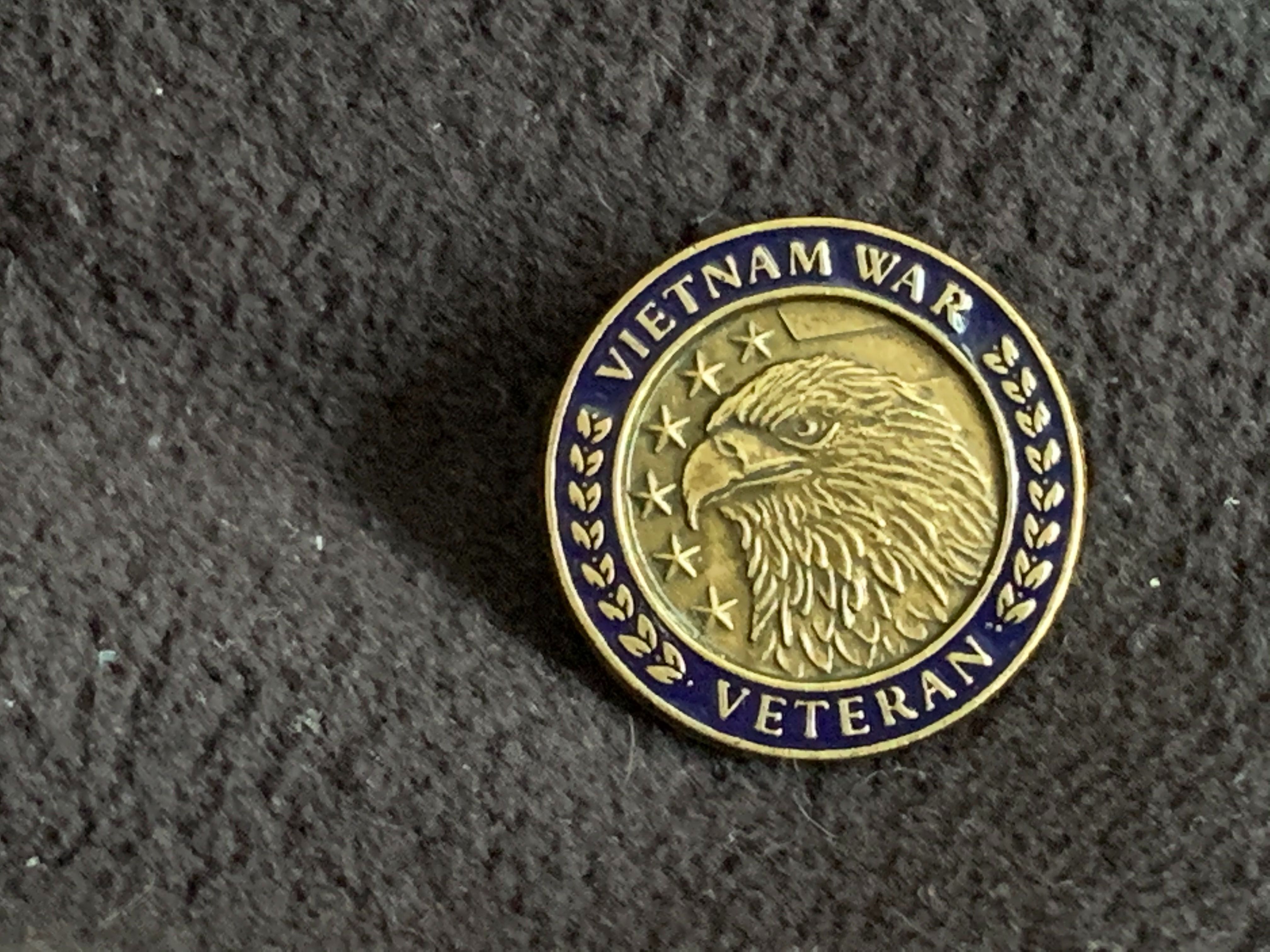 Vietnam War Veterans pin