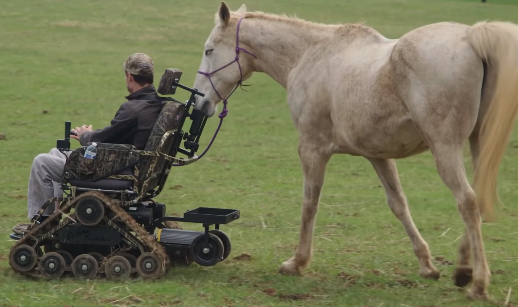 wheelchair bound Veteran with horse