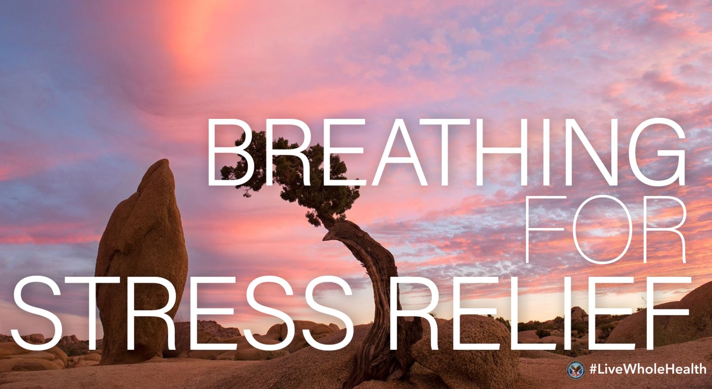 Breath--something we do 20,000 times a day--is one of the body’s most important functions, and one that we can notice in every moment. 