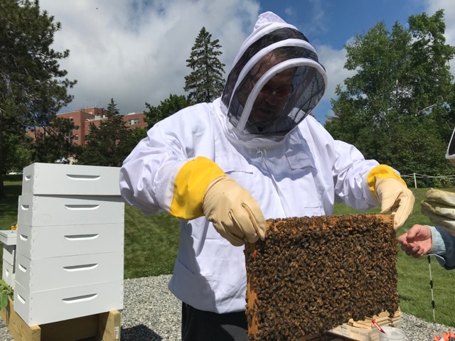 Veterans work with bees at Manchester VA Medical Center in 2019.