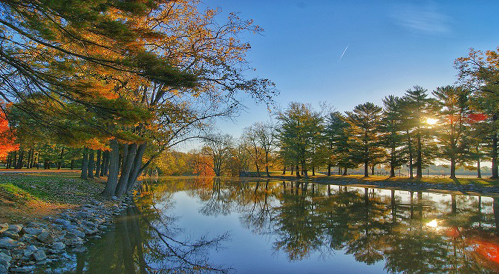 Country pond surrounded by Autumn trees