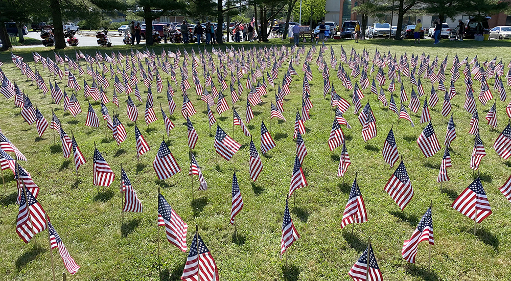 Hundreds of flags in a field, representing Veteran suicides
