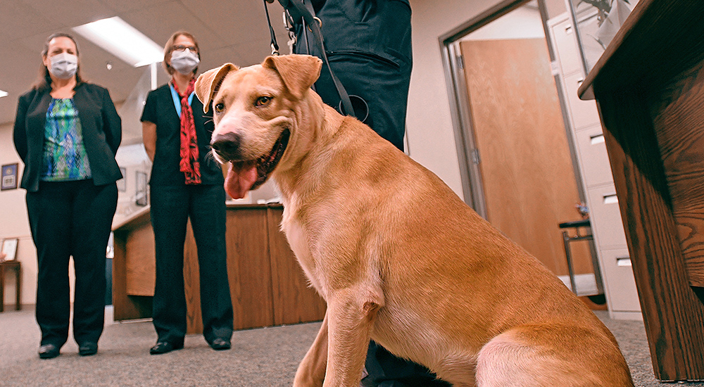 Tuco the Pawtrol K-9 officer