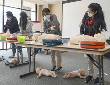 Five students practice life-saving CPR on mannequins