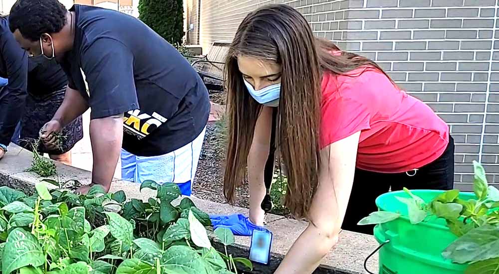 Man and woman working raised garden bed