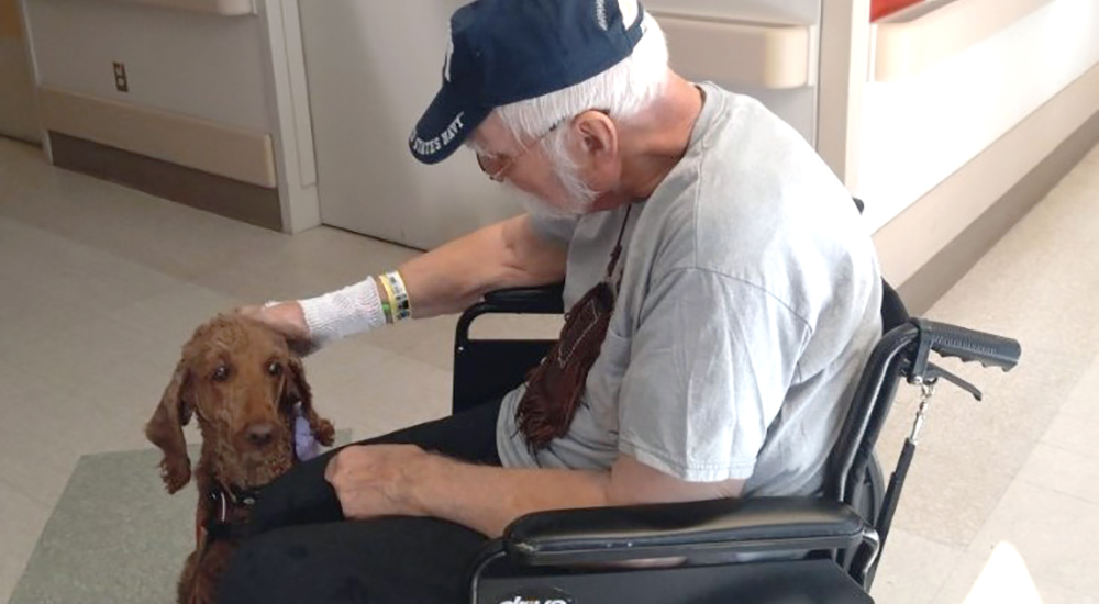 Veteran in wheelchair pets a dog for canine comfort