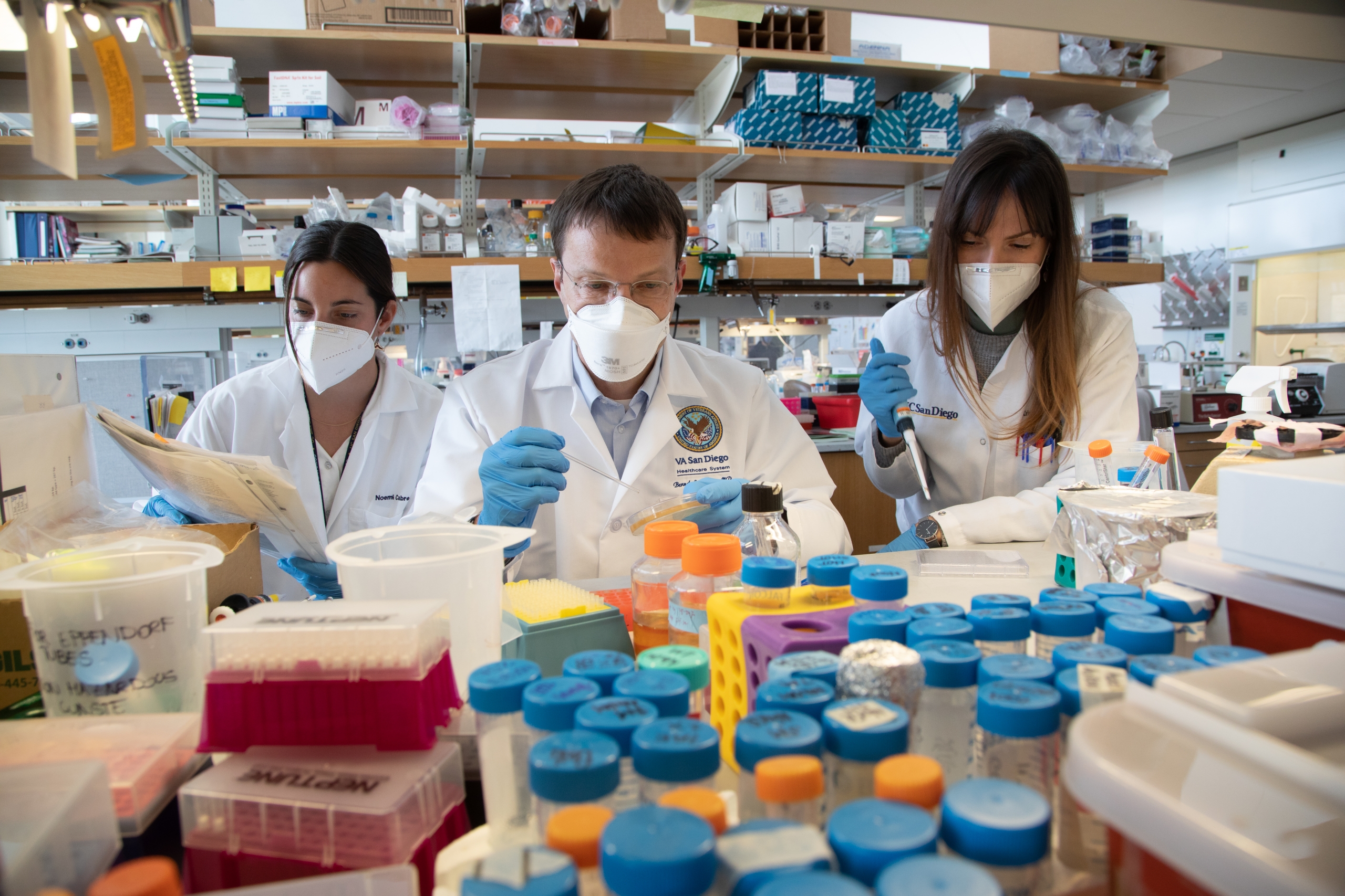 Dr. Bernd Schnabl and his team study bacteriophages, which are viruses that can target and kill specific bacteria and thereby help treat certain health conditions.