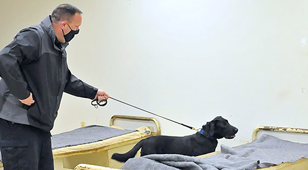 Policeman with K9 dog on point at a dorm door