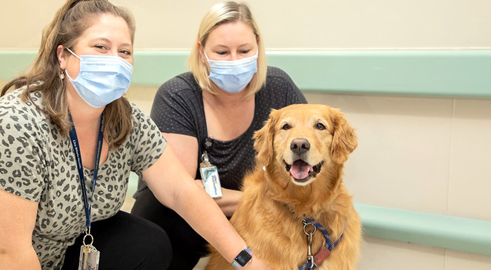 Two women in masks with golden retriever dog