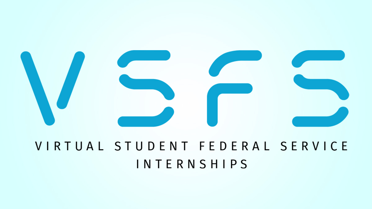 VSFS internship