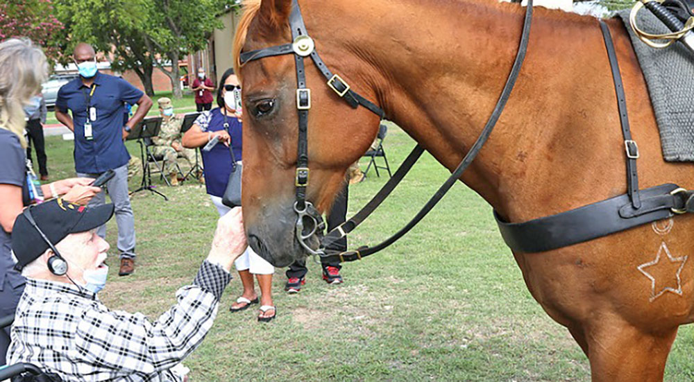 Senior Veteran petting Cavalry horse