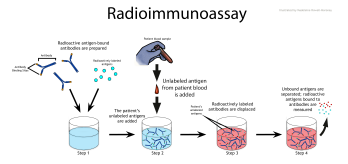 Dr. Yalow and Dr. Berson collaborated to develop the radioimmunoassay.
