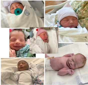 Six photos of newborn babies