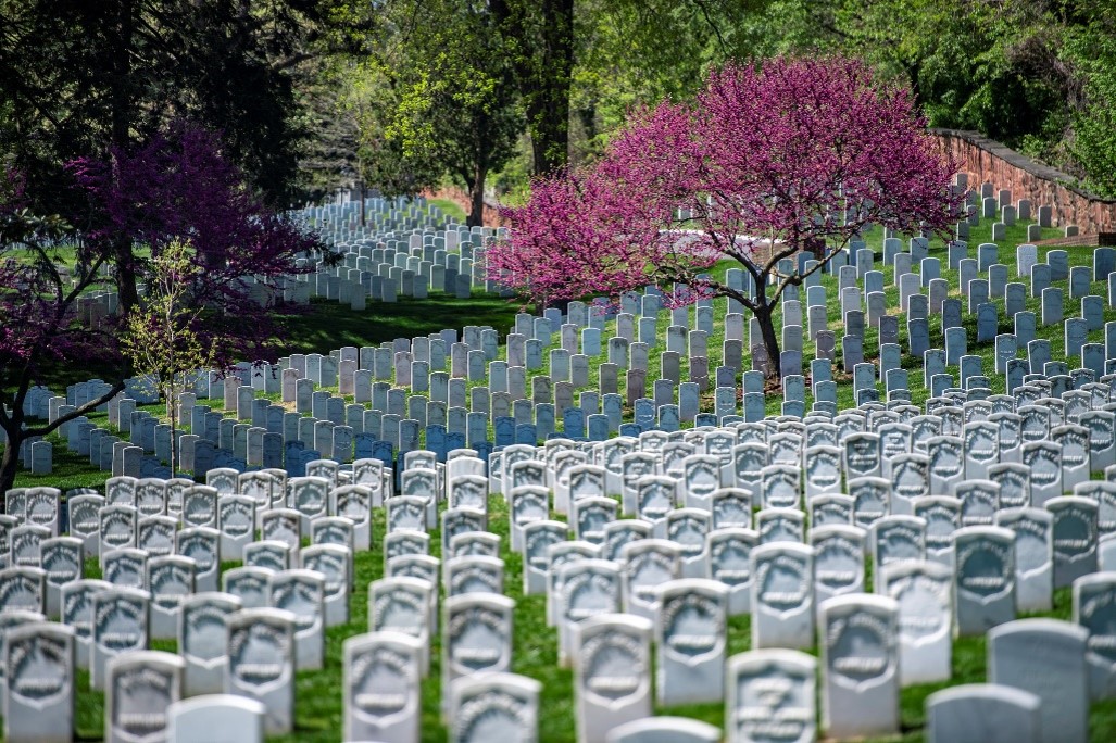 In time for Memorial Day weekend this year, NCA has expanded the Veterans Legacy Memorial platform to include 27 Department of Defense-managed cemeteries, including Arlington National Cemetery.