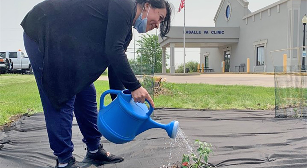 Woman waters plant in Veteran Community Garden