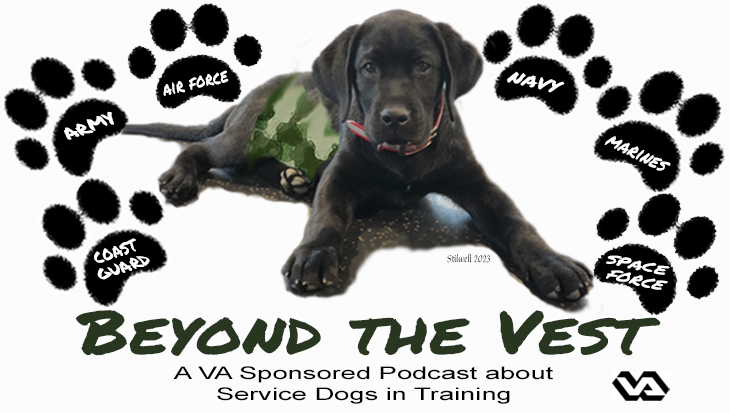 Beyond the Vest podcast logo