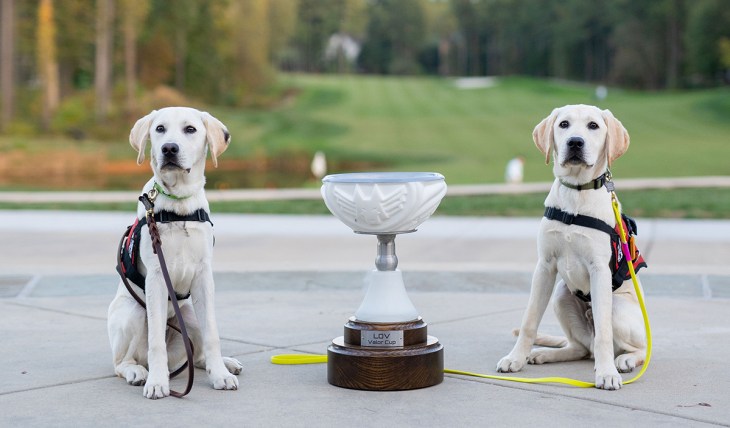Valor Cup photo: The 2022 Valor Cup trophy with two service dogs in training.