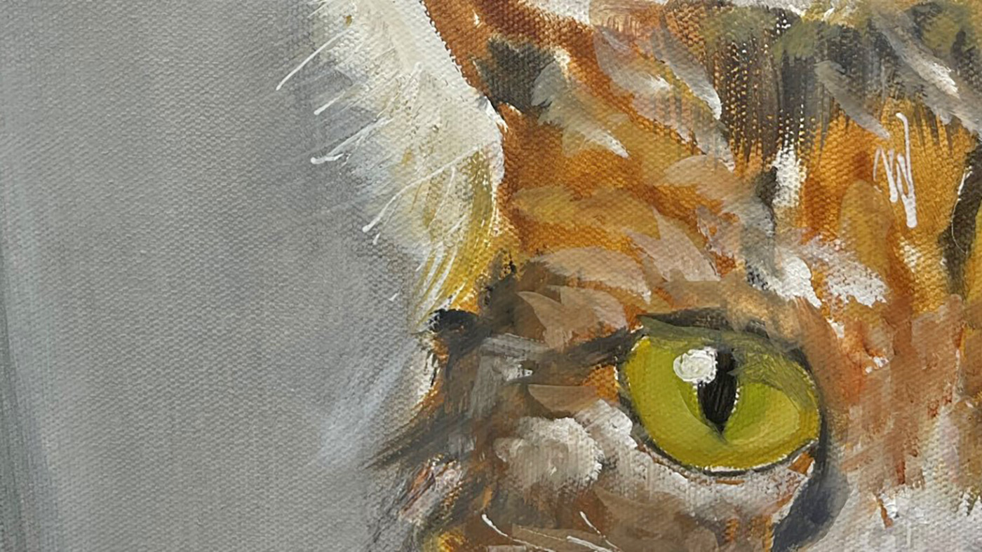 Portrait of a cat’s eye; homeless Veteran