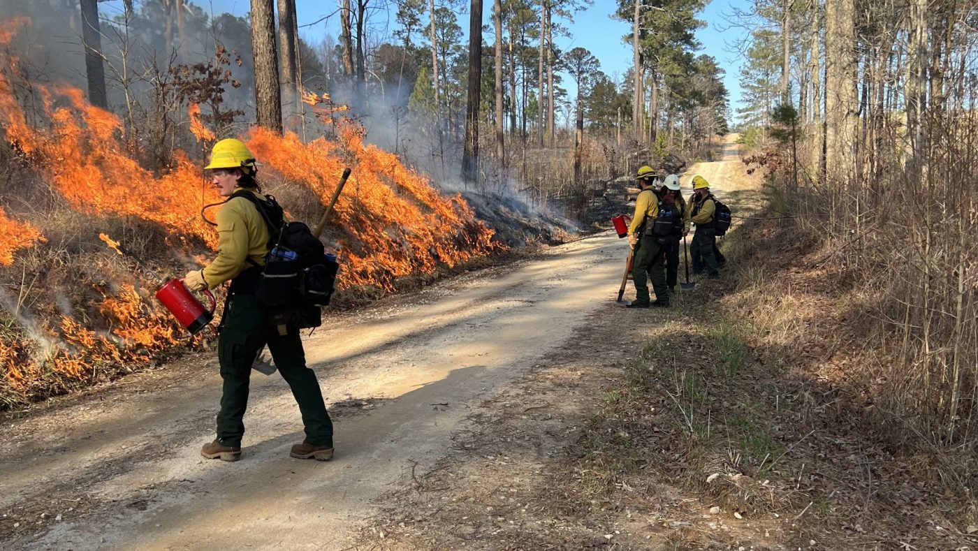 Gain experience in wildland fire fighting, prescribed burning with Veterans Fire Corps
