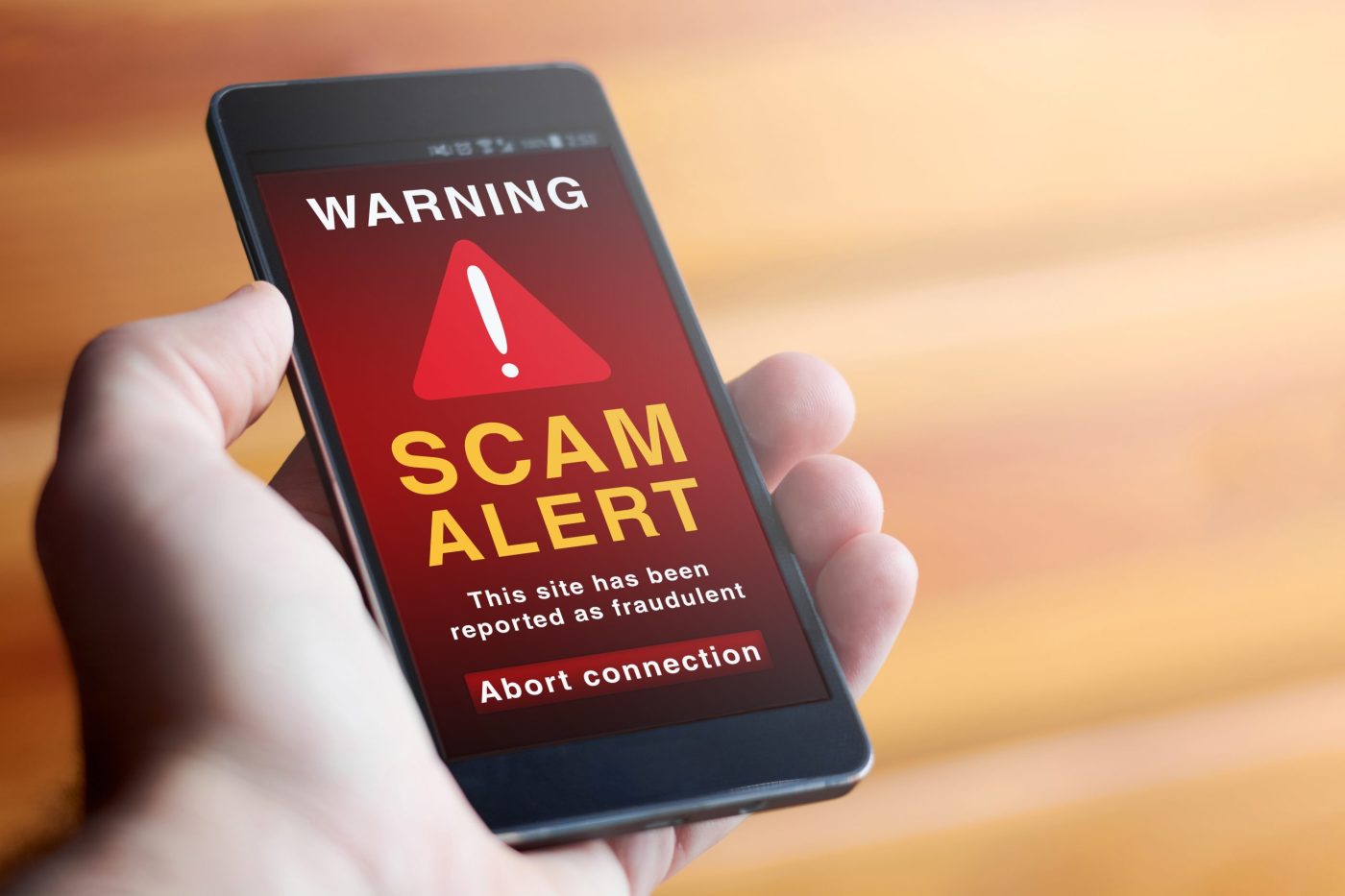 Hand holding smartphone saying warning scam alert.