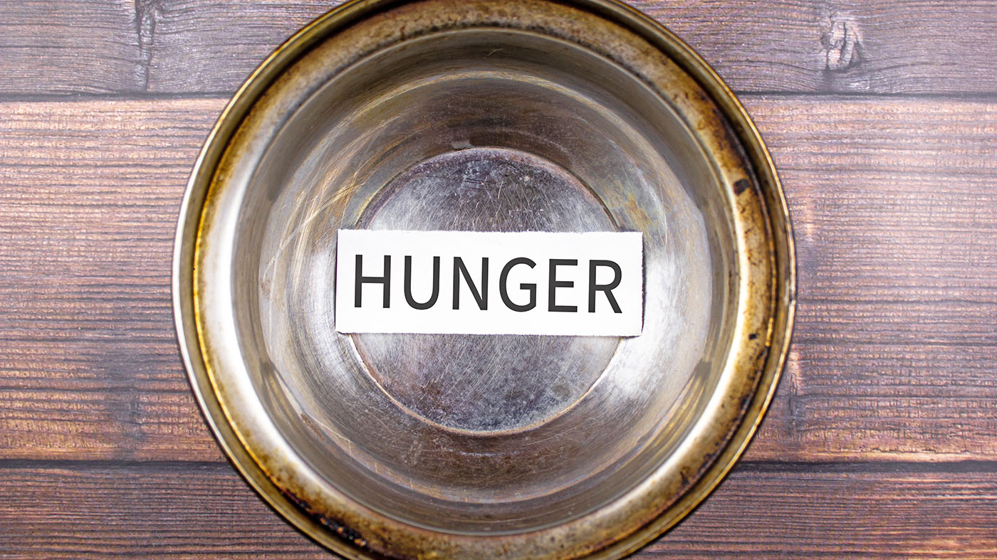 Social workers’ efforts to end food insecurity