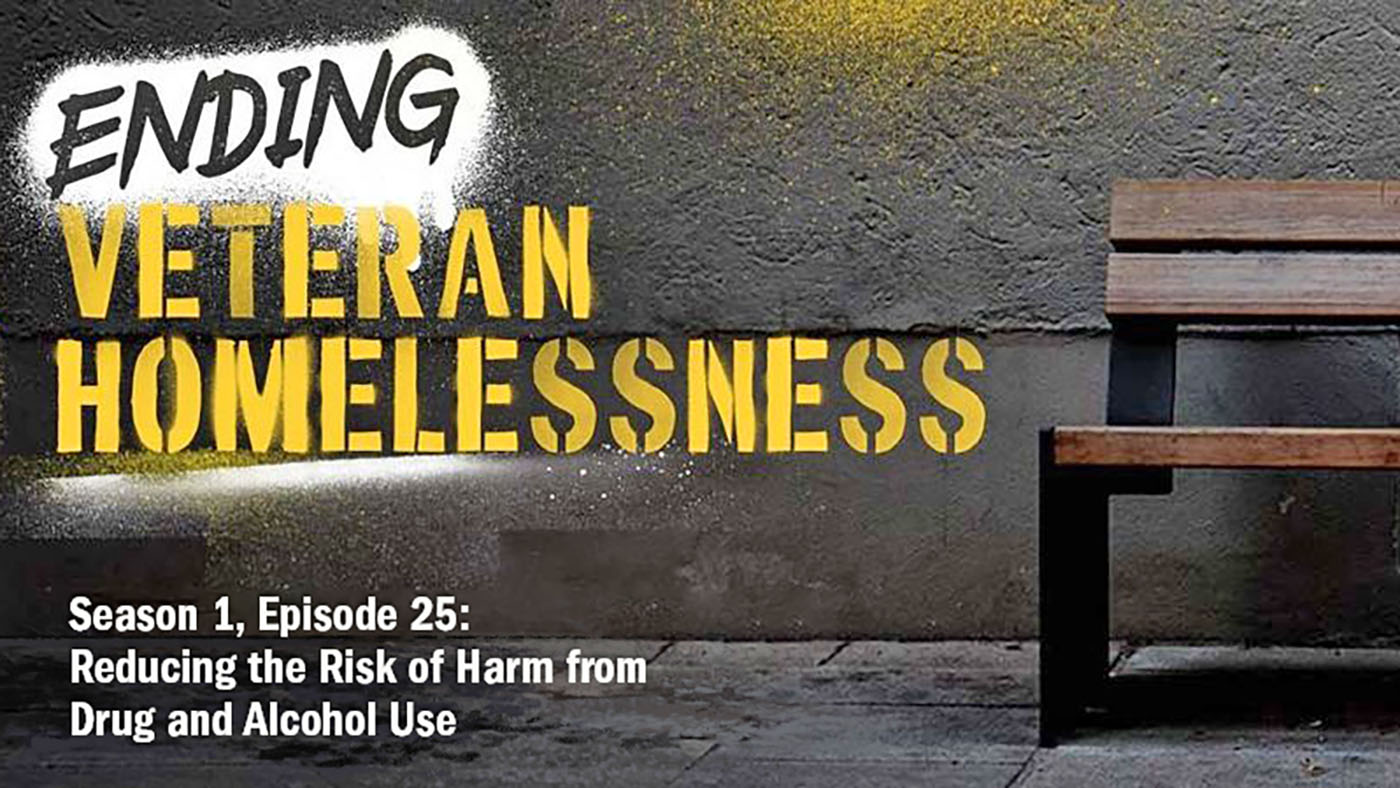 Ending Veteran Homelessness graphic with Risk of Harm