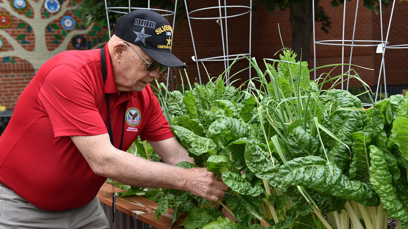 Veterans dig into Whole Health with gardening
