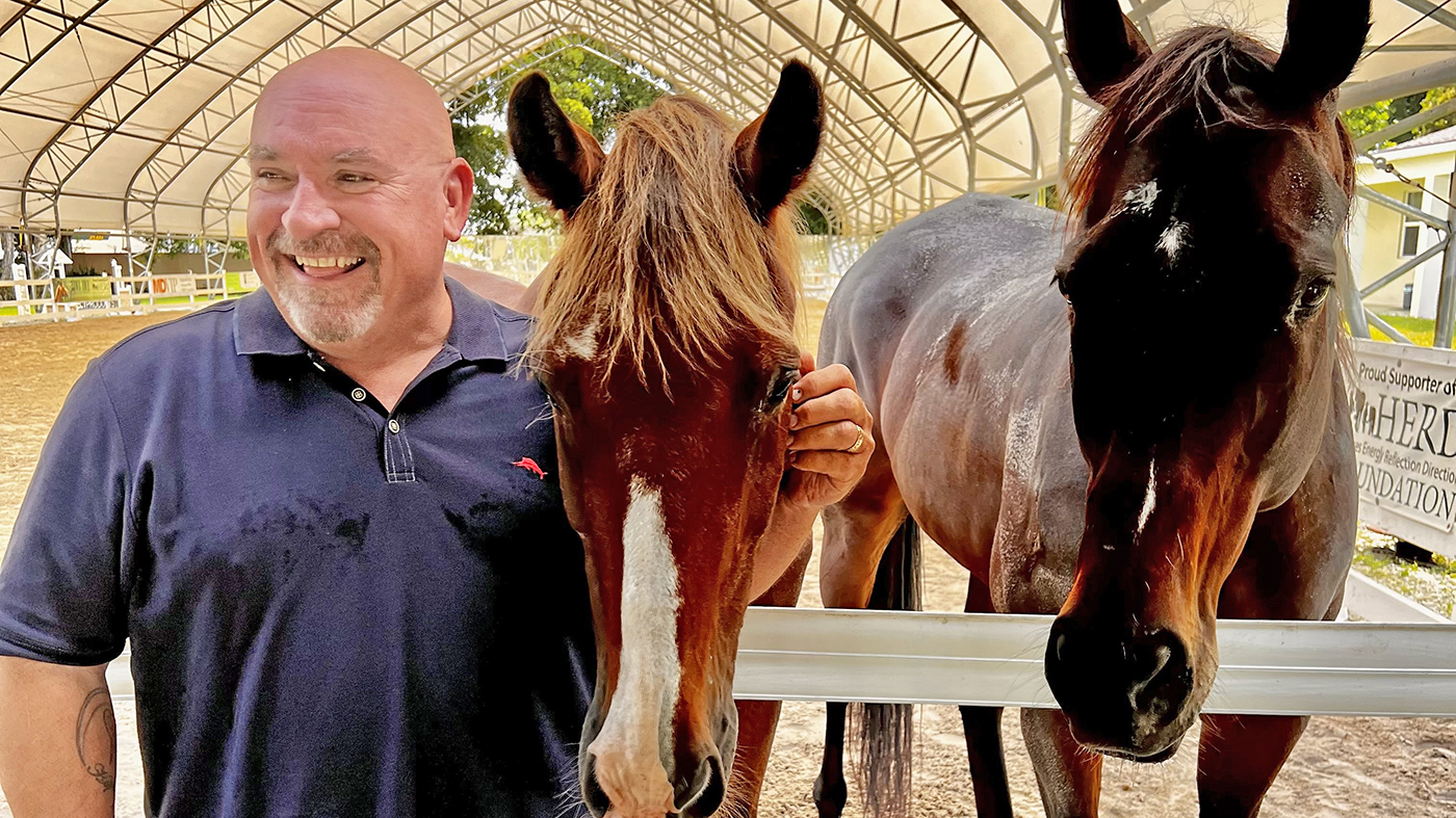 Vet with horses; HERD