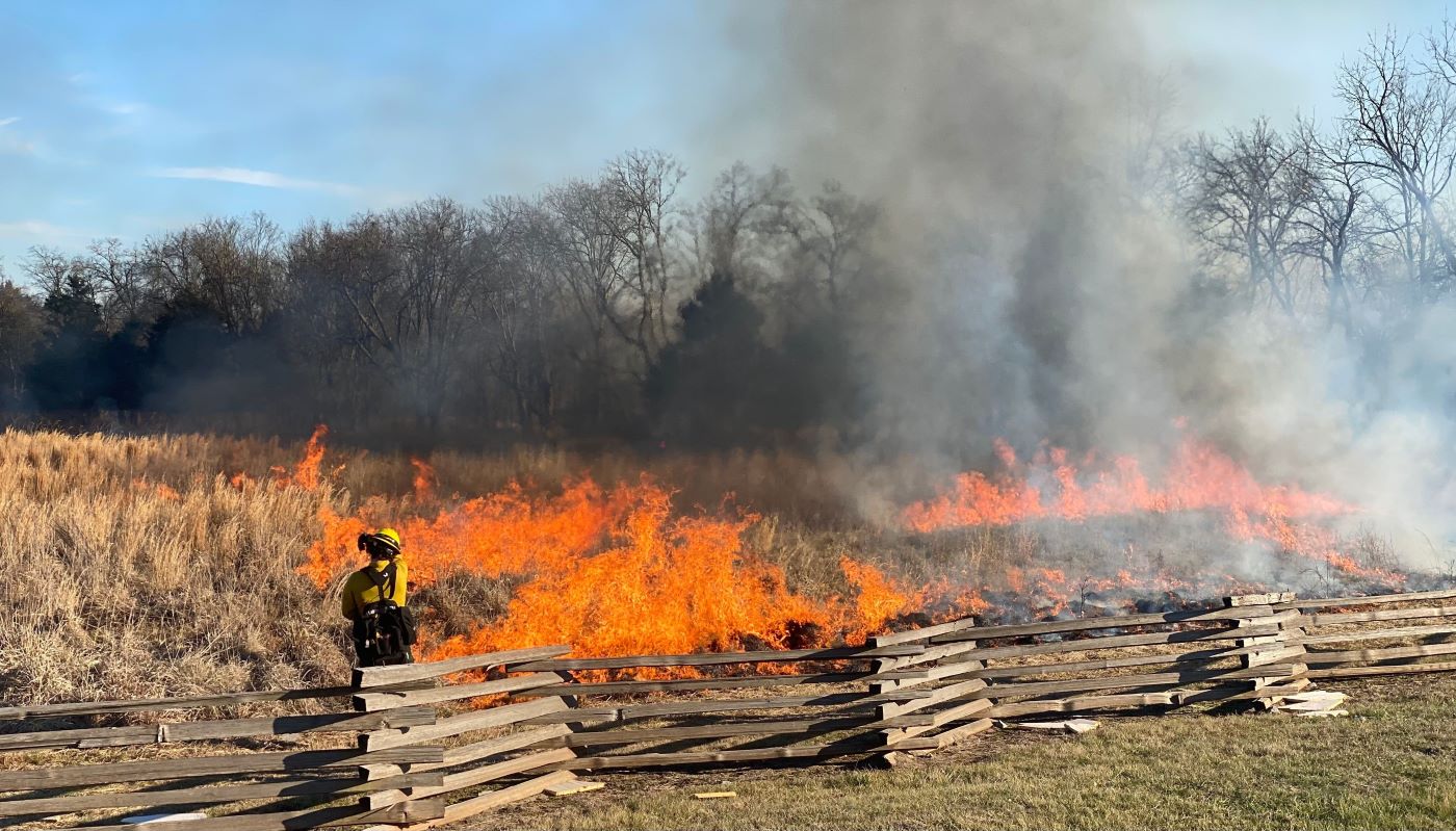 A member of the Veterans Fire Corps conducts a prescribed burn on a field.