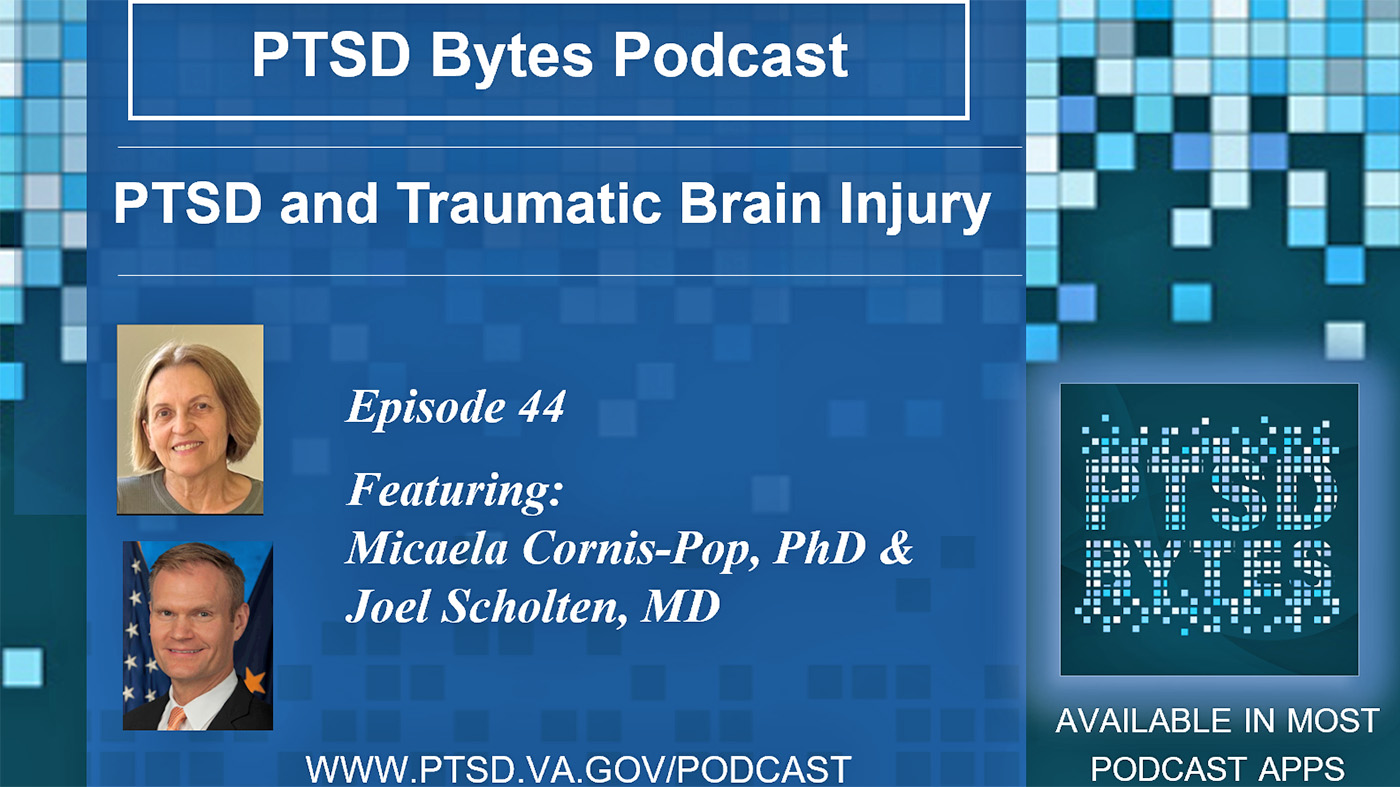 PTSD Bytes: PTSD and traumatic brain injury